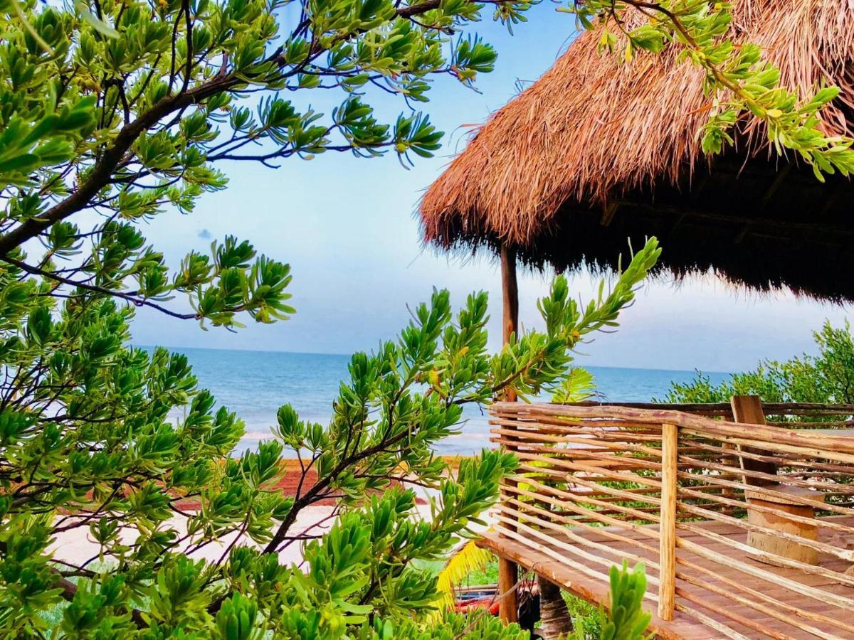 Casa Pelicanos Tulum Beach Mx - Next To Hotel Zone 외부 사진