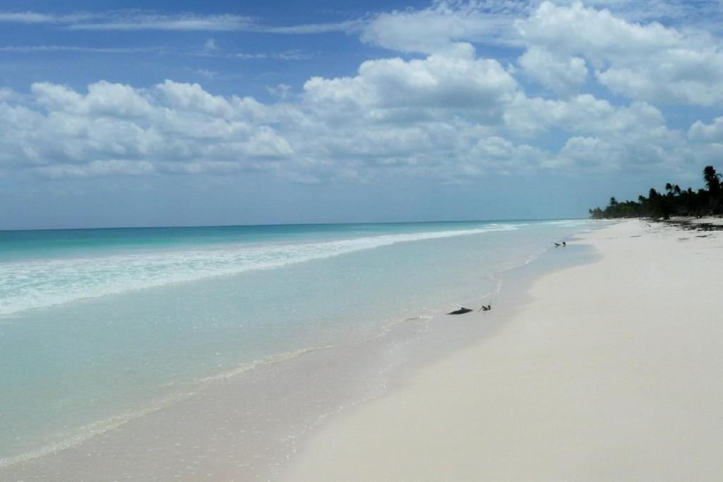 Casa Pelicanos Tulum Beach Mx - Next To Hotel Zone 외부 사진